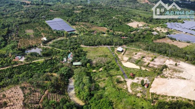 BÁN 1,6 NÔNG NGHIỆP VÀ THỔ CƯ  ĐẤT TRÚC SƠN – CƯ JÚT - 3