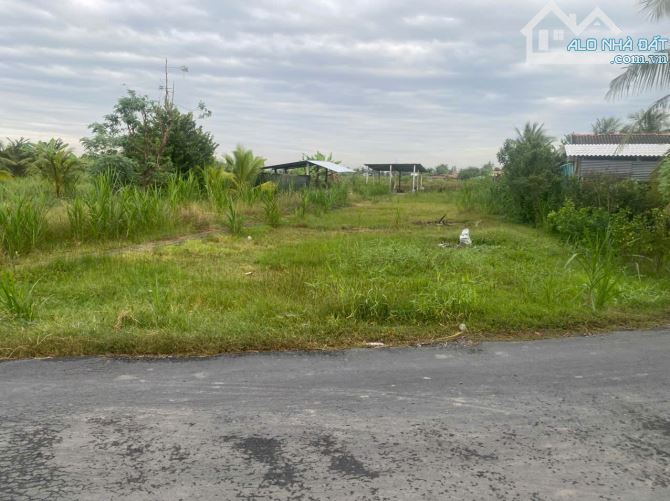 ĐẤT MẶT TIỀN – GIÁ TỐT  – CHÍNH CHỦ CẦN BÁN tại Đường Bình Ninh, xã Phục Nhứt, Chợ Gạo. - 6