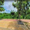 Bán lô đất biệt thực khu dân cư Vip phường Thống Nhất, Biên Hòa, 288m2, giá 21 tỷ 500.
