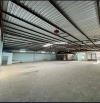 Cho thuê Kho Khu vực Ga T1 . Tân Bình. 700m2. Còn nhiều diện tích khác.