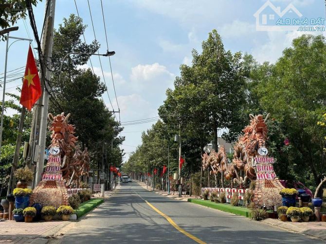 Bán đất có thổ cư Thủ Dầu Một - đường nhựa - giá cực tốt - công chứng ngay - 3