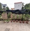 BÁN ĐẤT CÔNG LUẬN VĂN GIANG HƯNG YÊN-Ô TÔ VÀO- NGÕ THÔNG 69m2-3,6 tỷ