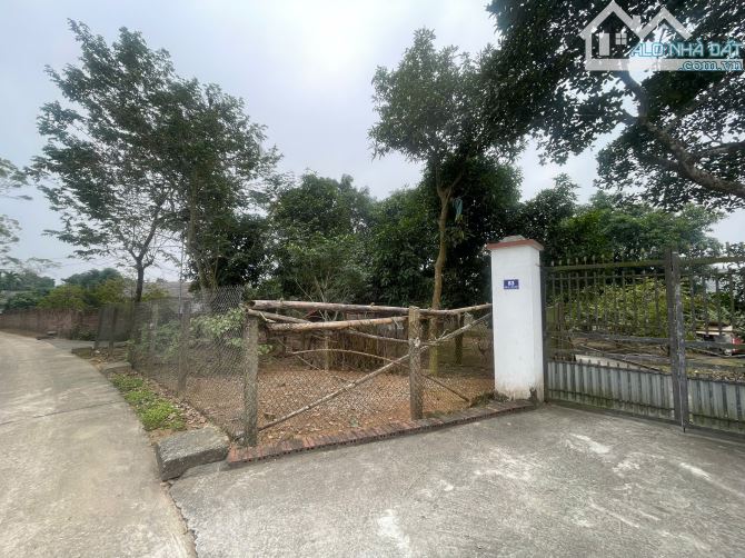 Bán 1700m2 đất, đã có nhà tạm, cây cối quanh đất xã Vạn Xuân, tỉnh Phú Thọ