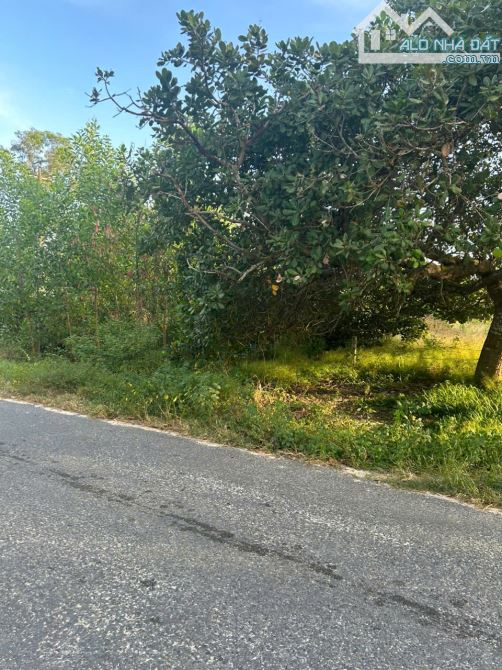 Bán 10m x 70m đất ODT mặt tiền Cù Chính Lan - LaGi giá ngộp 1.6 tỷ sổ riêng - 1