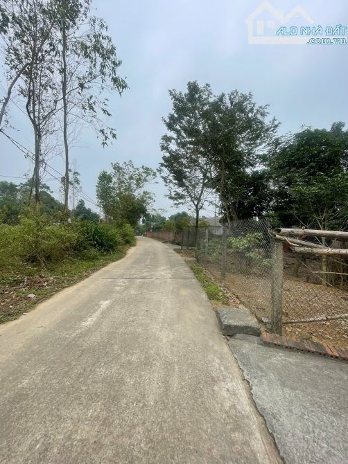 Bán 1700m2 đất, đã có nhà tạm, cây cối quanh đất xã Vạn Xuân, tỉnh Phú Thọ