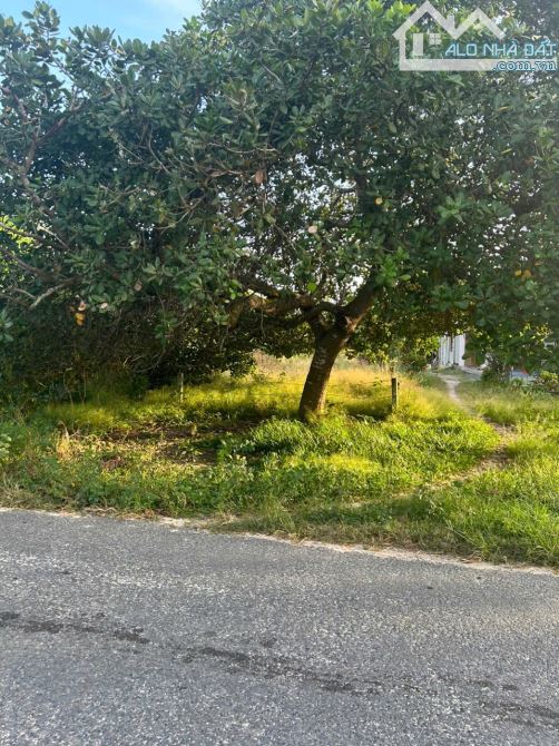 Bán 10m x 70m đất ODT mặt tiền Cù Chính Lan - LaGi giá ngộp 1.6 tỷ sổ riêng - 3