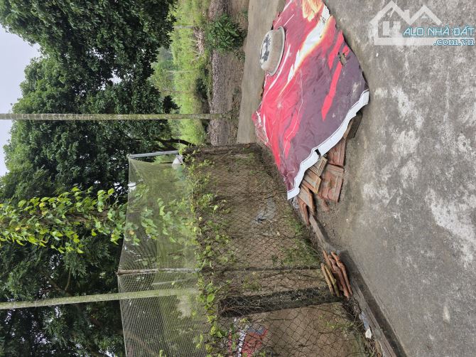 Bán 1700m2 đất, đã có nhà tạm, cây cối quanh đất xã Vạn Xuân, tỉnh Phú Thọ