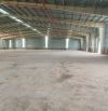 Cho thuê kho xưởng DT 8000m2, 16.000m2 Mỹ Lộc Nam Định