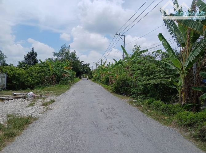 Cặp nền mặt tiền đường Nguyễn Văn Quy (đường tỉnh 925) thuộc xã Châu Thành, Cần Thơ