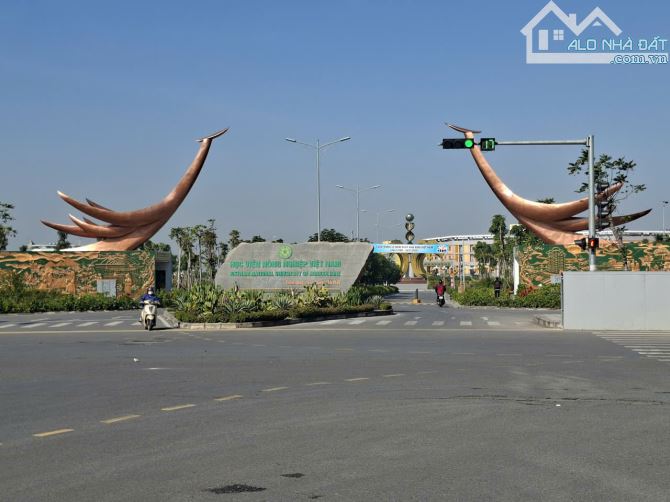 Bán CCMN phố Trâu Qùy - Dòng tiền mỗi năm 240 triệu - DT 99 m2 - giá 14,5 tỷ - 5