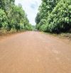 ✨ 906M2 LÔ ĐẤT 2 MẶT TIỀN SIÊU HIẾM, 17M MẶT TIỀN QUỐC LỘ 29B, 500M có đủ Tiện Ích - 630TR