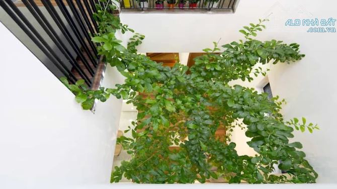 BÁN NHÀ MỚI PHỐ NHẬT CHIÊU NGÕ RỘNG, KHÔNG GIAN MỞ, NHÀ THOÁNG, 55M2, 12,6 TỶ