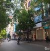 Nhỉnh 250tr/m2. Mặt Phố Vũ Tông Phan, Thanh Xuân_Ô Tô, Kinh Doanh. Dt: 200m.