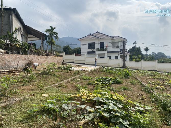 Thịnh Minh, Hoà Bình chỉ hơn 600tr có ngay lô đất hơn 100m - 2