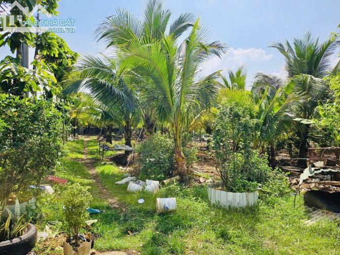 🏡 Bán Đất + Nhà Rường Huế 3 Gian Gỗ & Nhà Cấp 4 Mới Xây - Hưng Thịnh, Trảng Bom, Đồng Nai - 6
