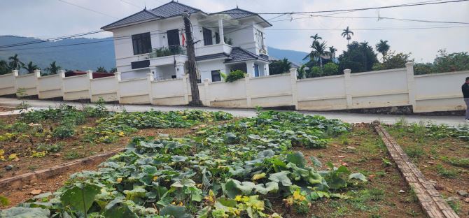 “🔥 Sở hữu ngay đất nền 2 mặt tiền ven sông, giá chỉ từ 650 triệu/lô - 2