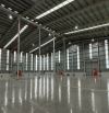 Cho thuê kho xưởng trong KCN Châu Đức xưởng 8000m2, 12.000m2, có thể cho thuê lẻ. 90k/m2