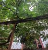 CẦN BÁN GẤP NHÀ PHỐ -LÃNG YÊN -BẠCH ĐẰNG -HAI BÀ TRƯNG -43 m2-3 TẦNG -SỔ VUÔNG