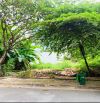 Bán đất 2MT đường 14m không gia xanh gần sông Giồng, Dt: 10x19m. CTXD: H4T. Giá: 38 tỷ