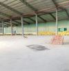 Cho thuê 2 kho 1000m2 và 2000m2 mới dựng ở Đình Vũ, đủ tiêu chuẩn PCCC