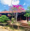 Bán 1300 m2 ngay trung tâm Phan Thiết