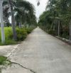 Mỹ Lộc Cần Giuộc 1000m2 gồm 300 thổ +700 vườn mặt tiền đường Nguyễn Văn Cung đan 4.5m