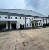 Cho Thuê Kho Xưởng Mới 5200m2, Pháp Lý Chuẩn, Bến Lức, Long An. gần kcn Phú An Thạnh
