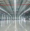 Cho thuê xưởng 3600m2 - 8000m2 Cụm Công Nghiệp Hoàng Gia, KCN Thái Hoà, Đức Hòa, Long An