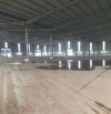Cho thuê kho xưởng 15.000 trong Cụm CN Hoàng Gia, Đức Hòa, Long An