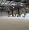 Cho thuê kho xưởng mới KCN Long Hậu, Long Hậu, Cần Giuộc, Long An 5000m2, 8000m2, 12.000m2