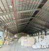 Cho Thuê Kho Xưởng 5000m2 - 10.000m2 Trong KCN Cần Đước, Long An