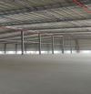 Cho Thuê Xưởng Mới Tại Kcn Sóng Thần 3, Xã Tân Vĩnh Hiệp, Tân Uyên, Bình Dương