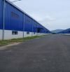 Cho Thuê Nhà Xưởng Tp Tân Uyên Hiên Ngay Kcn Nam Tân Uyên Xã Phú Chánh