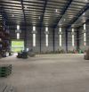 Cho Thuê Nhà Xưởng 1.3ha Nhà Xưởng, Khuôn Viên 32.000m2 Sát Kcn Đất Cuốc Bắc Tân Uyên