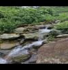 ĐẸP NHƯ TRANH THIÊN NHIÊN HÙNG VĨ Sổ 4774m2(450m đất ở, còn lại cây lâu năm) Thực tế 6000M