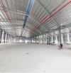 BÁN XƯỞNG CHO NHÀ ĐẦU TƯ TRONG KCN BÀ RỊA VŨNG TÀU (BX60)