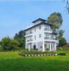 Mua đất có sẵn biệt thự sân vườn Mây Hồng Villa vừa xây dựng mới hoàn toàn