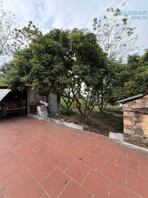 CẦN BÁN ĐẤT TAM SƠN – THƯỜNG THẮNG – HIỆP HÒA (BẮC GIANG) - 1