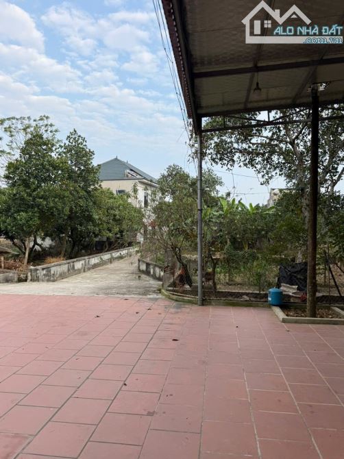 CẦN BÁN ĐẤT TAM SƠN – THƯỜNG THẮNG – HIỆP HÒA (BẮC GIANG) - 5