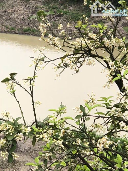 380M2 - 12M MẶT TIỀN - BÁN BIỆT THỰ C7 CIPUTRA VIEW HỒ - CÔNG VIÊN - SÂN GOLF - VỈA HÈ Ô T