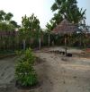 BÁN NHÀ VƯỜN 1200M2 - ĐIỆN BÀN - SẴN NHÀ 2 TẦNG - SÂN VƯỜN - GIÁ ĐẦU TƯ