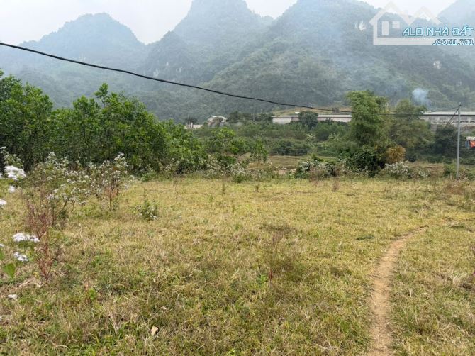 LÔ ĐẤT TUYỆT ĐẸP CHÍNH CHỦ BÁN 2676,7m2 đất ở 1000m2  , Viu cánh đồng thoáng mát