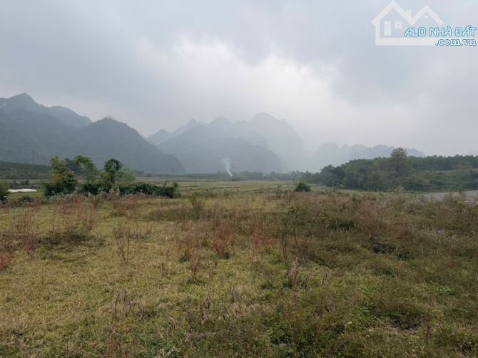 LÔ ĐẤT TUYỆT ĐẸP CHÍNH CHỦ BÁN 2676,7m2 đất ở 1000m2  , Viu cánh đồng thoáng mát - 1