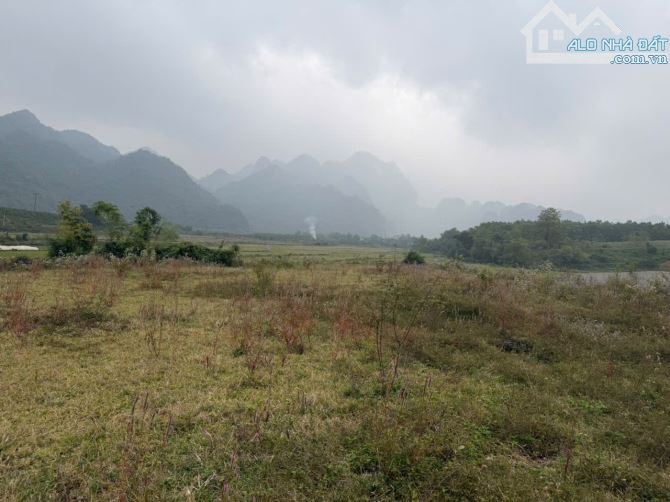 LÔ ĐẤT TUYỆT ĐẸP CHÍNH CHỦ BÁN 2676,7m2 đất ở 1000m2  , Viu cánh đồng thoáng mát - 3