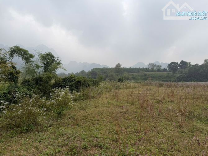 LÔ ĐẤT TUYỆT ĐẸP CHÍNH CHỦ BÁN 2676,7m2 đất ở 1000m2  , Viu cánh đồng thoáng mát - 4