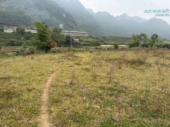 LÔ ĐẤT TUYỆT ĐẸP CHÍNH CHỦ BÁN 2676,7m2 đất ở 1000m2  , Viu cánh đồng thoáng mát - 5