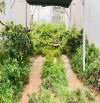 ✨🏡✨ Cần bán Đất Hẻm Xe Hơi (4m), đường Trạng Trình, P.09, Đà Lạt