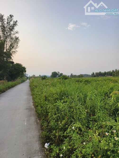 BÁN ĐẤT 1 XẸC ĐƯỜNG AN HẠ – PHẠM VĂN HAI – BÌNH CHÁNH