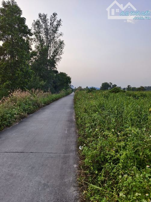 BÁN ĐẤT 3 MẶT TIỀN ĐƯỜNG AN HẠ – PHẠM VĂN HAI – BÌNH CHÁNH