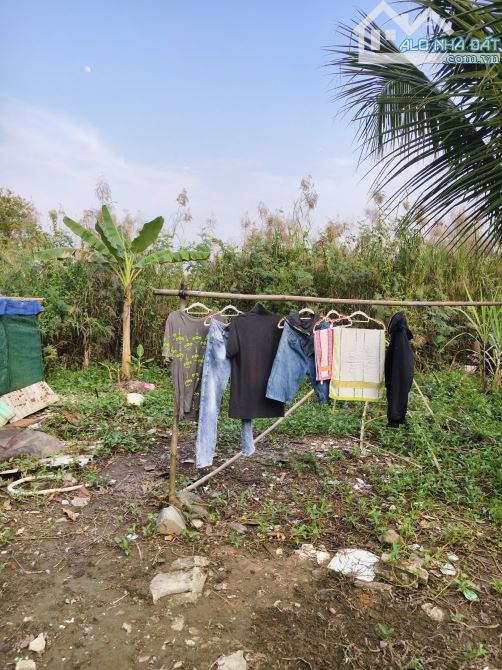 BÁN ĐẤT 3 MẶT TIỀN ĐƯỜNG AN HẠ – PHẠM VĂN HAI – BÌNH CHÁNH - 1